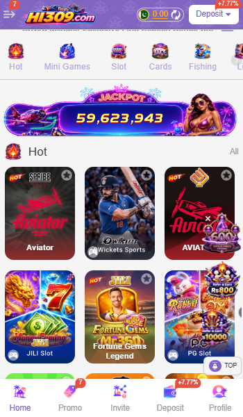 HI309 Game